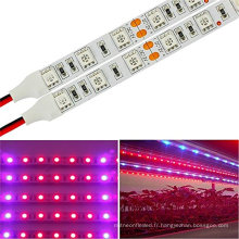 5M LED Strip Plant élèvent la lumière Hydroponic Aquarium lampe rouge bleu 4: 1 DC 12V 5050